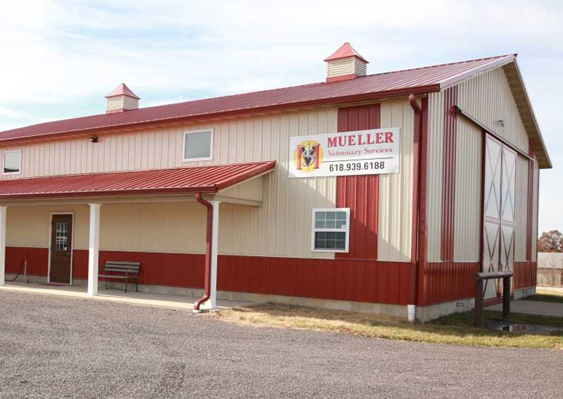 Carousel Slide 4: Our easy to access haul-in facility for horses & livestock